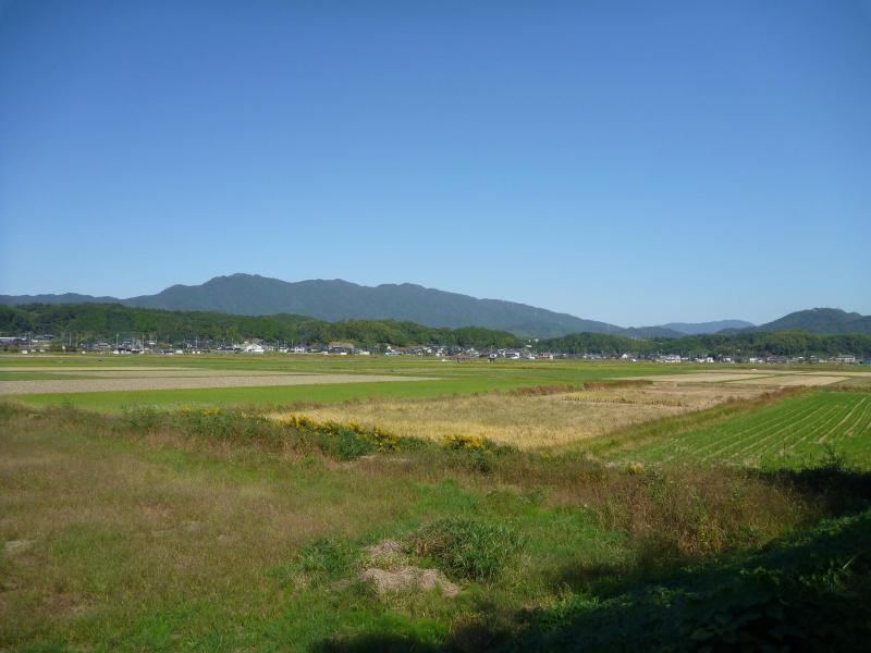 手前に畑があり、奥に住宅街があり、遠くに霞む山並みを昼間に撮った写真