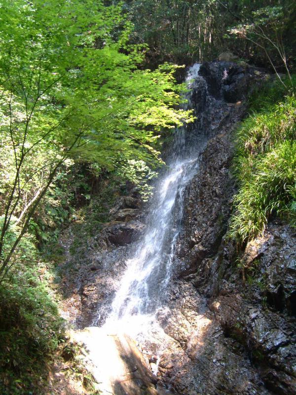 切り立った岩肌から水が流れ落ちている周りに木々が生えている写真
