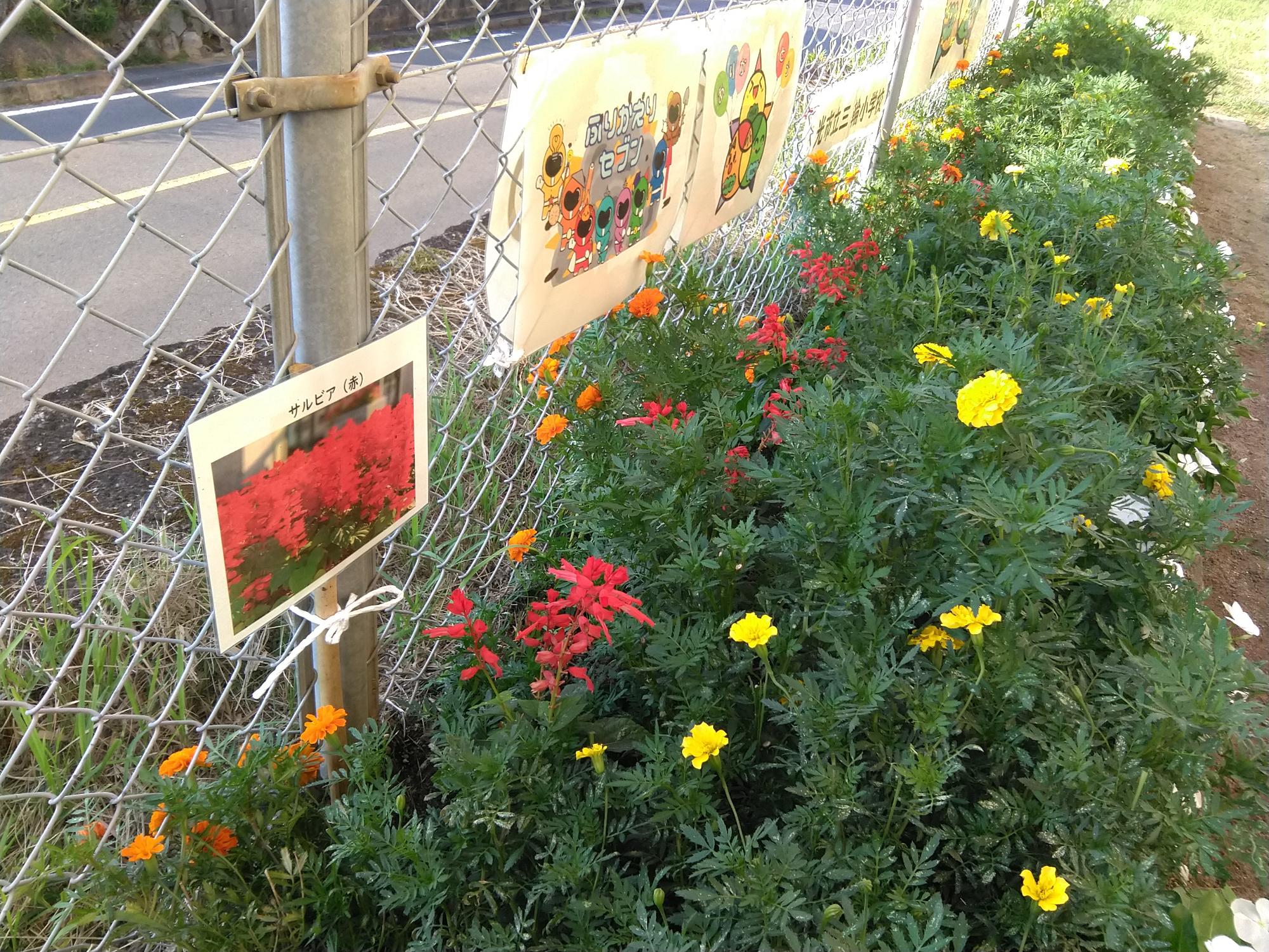 光市立三輪小学校