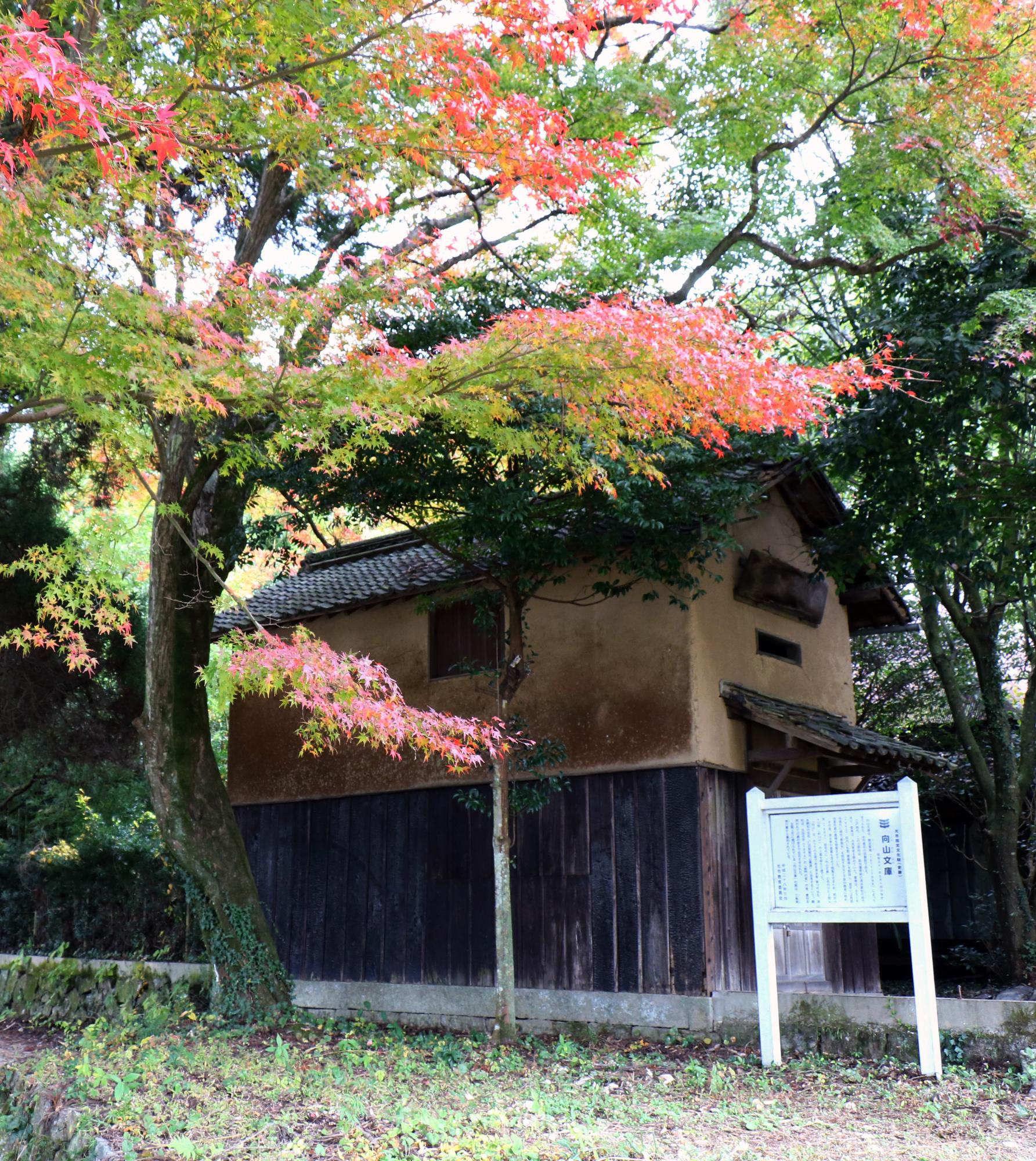 生い茂る木々の間に建つ向山文庫の建物の写真