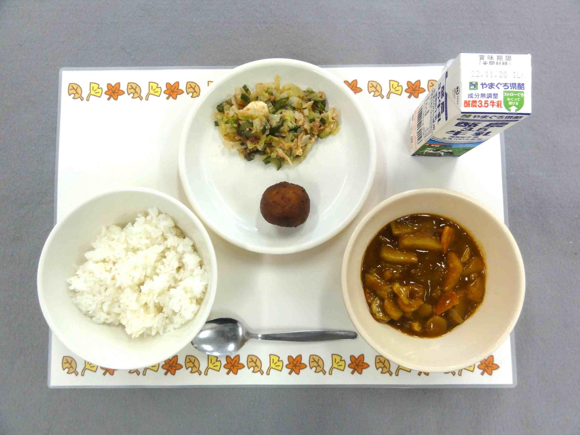 11月11日の給食の写真