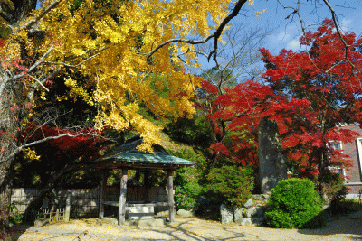 産湯の井戸の写真