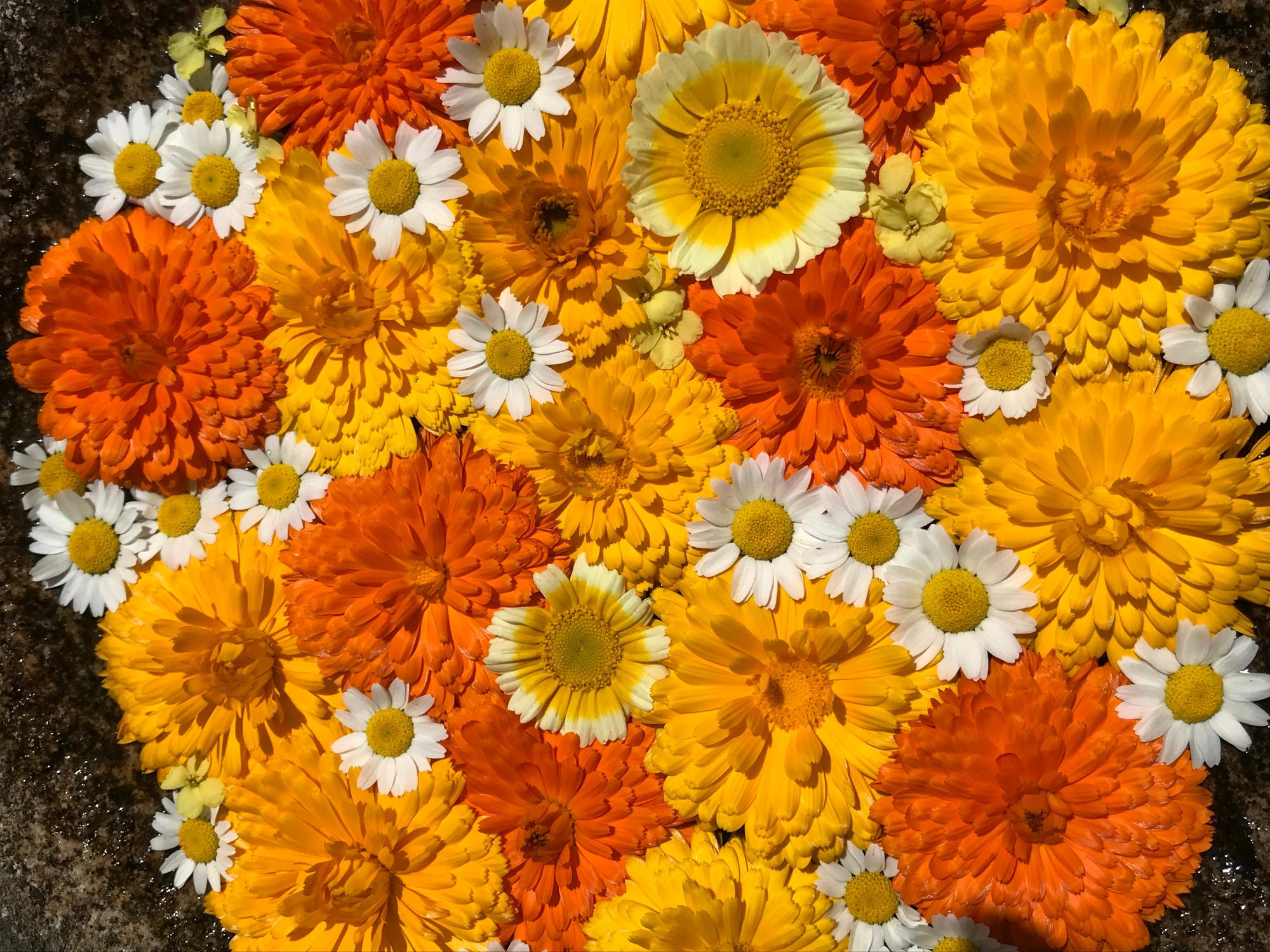 花手水の写真