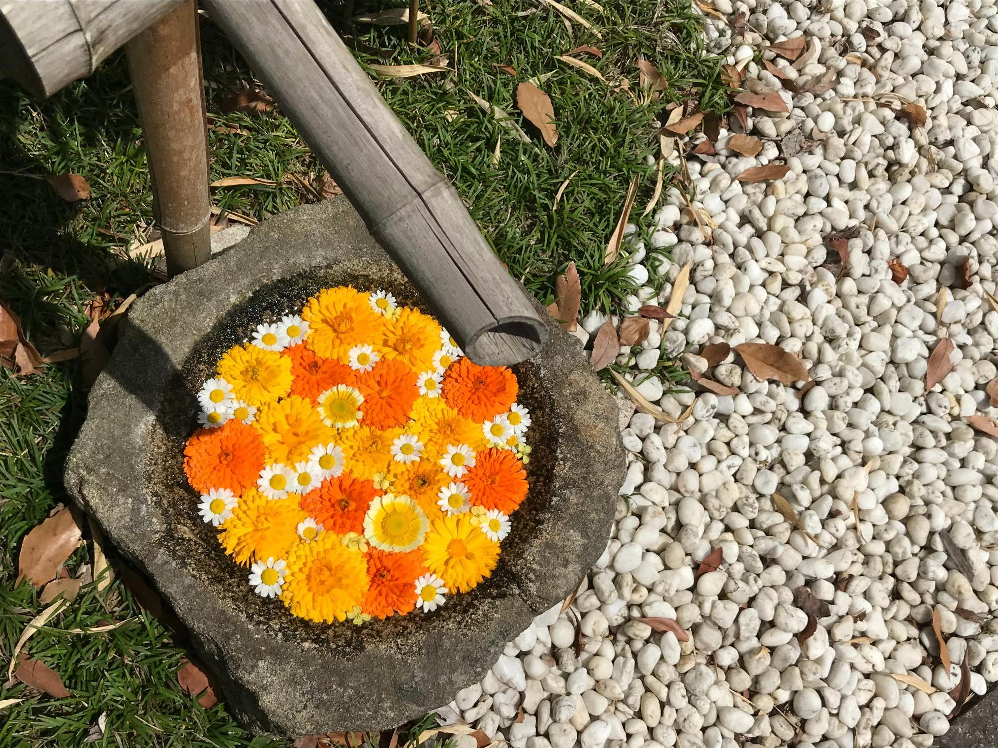 花手水の写真