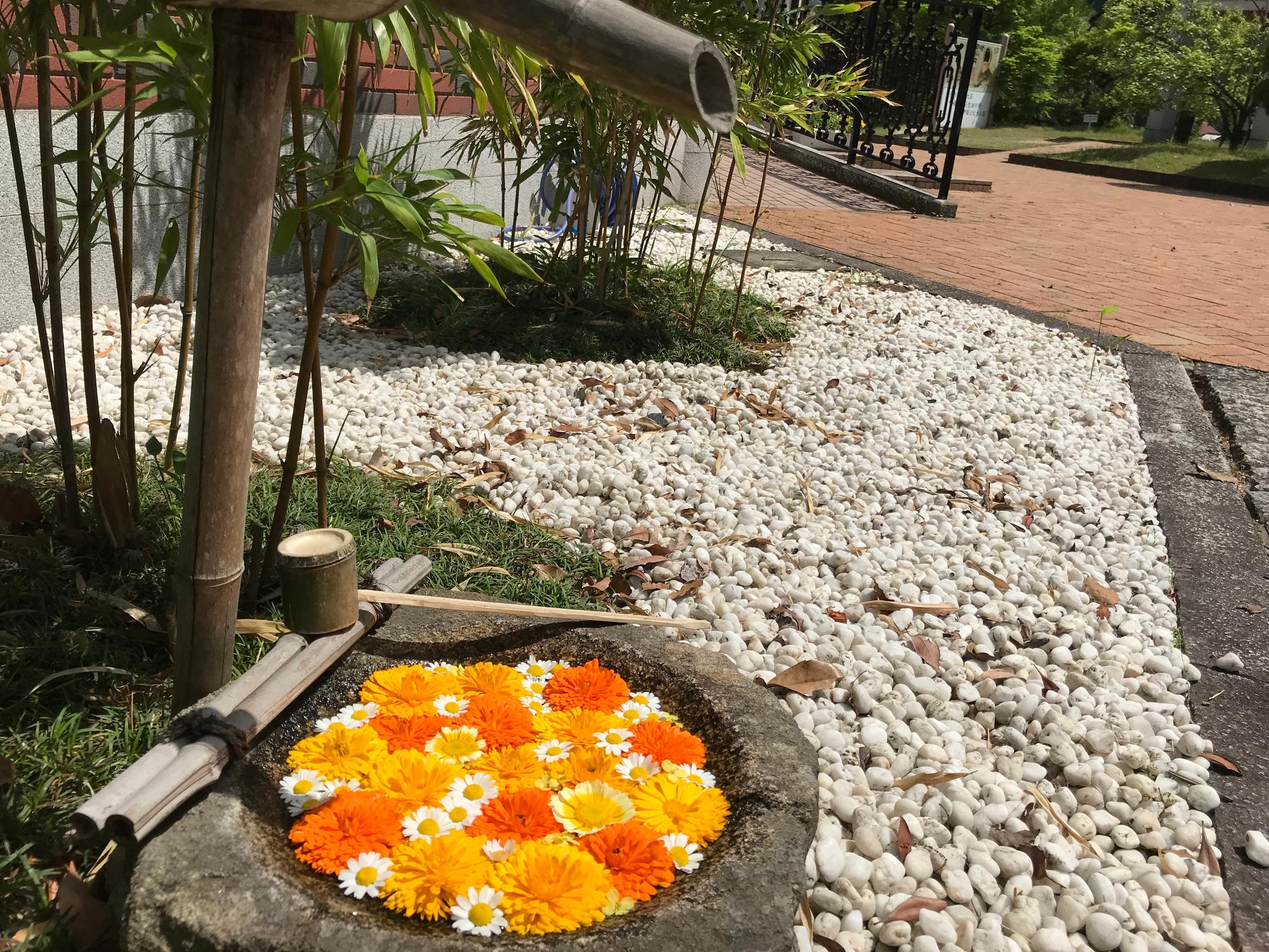 花手水の写真