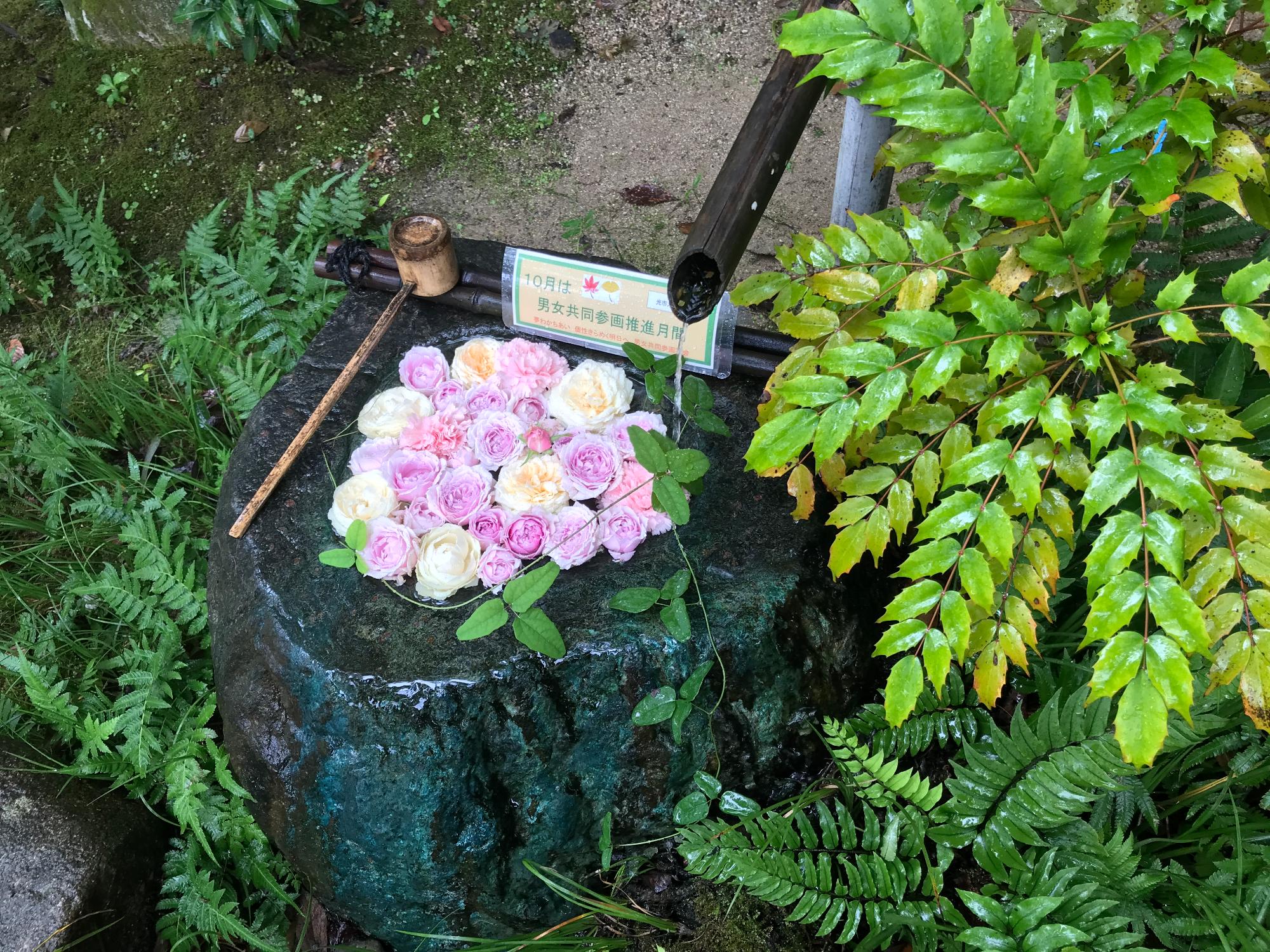 花手水の写真