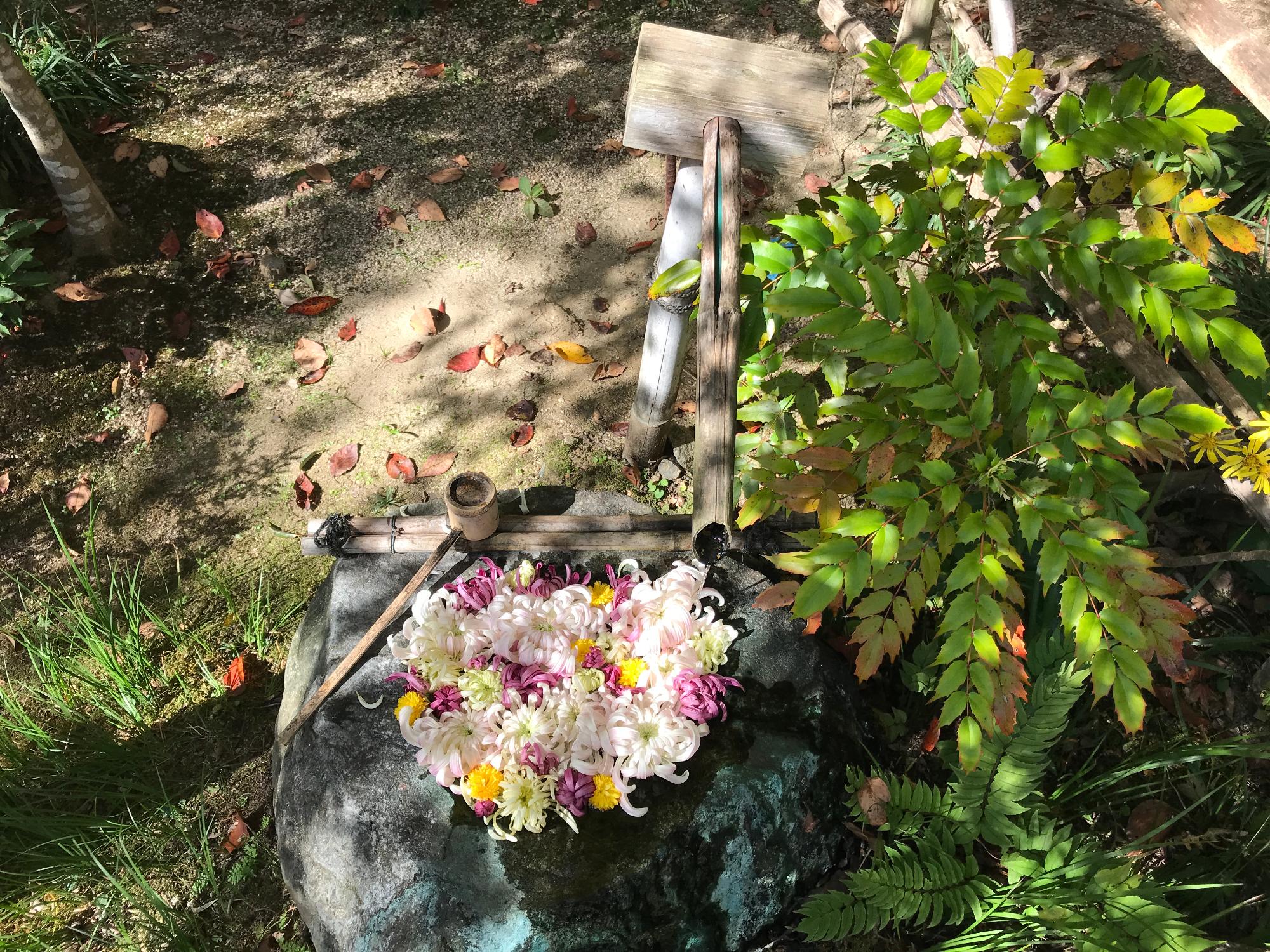 花手水の写真