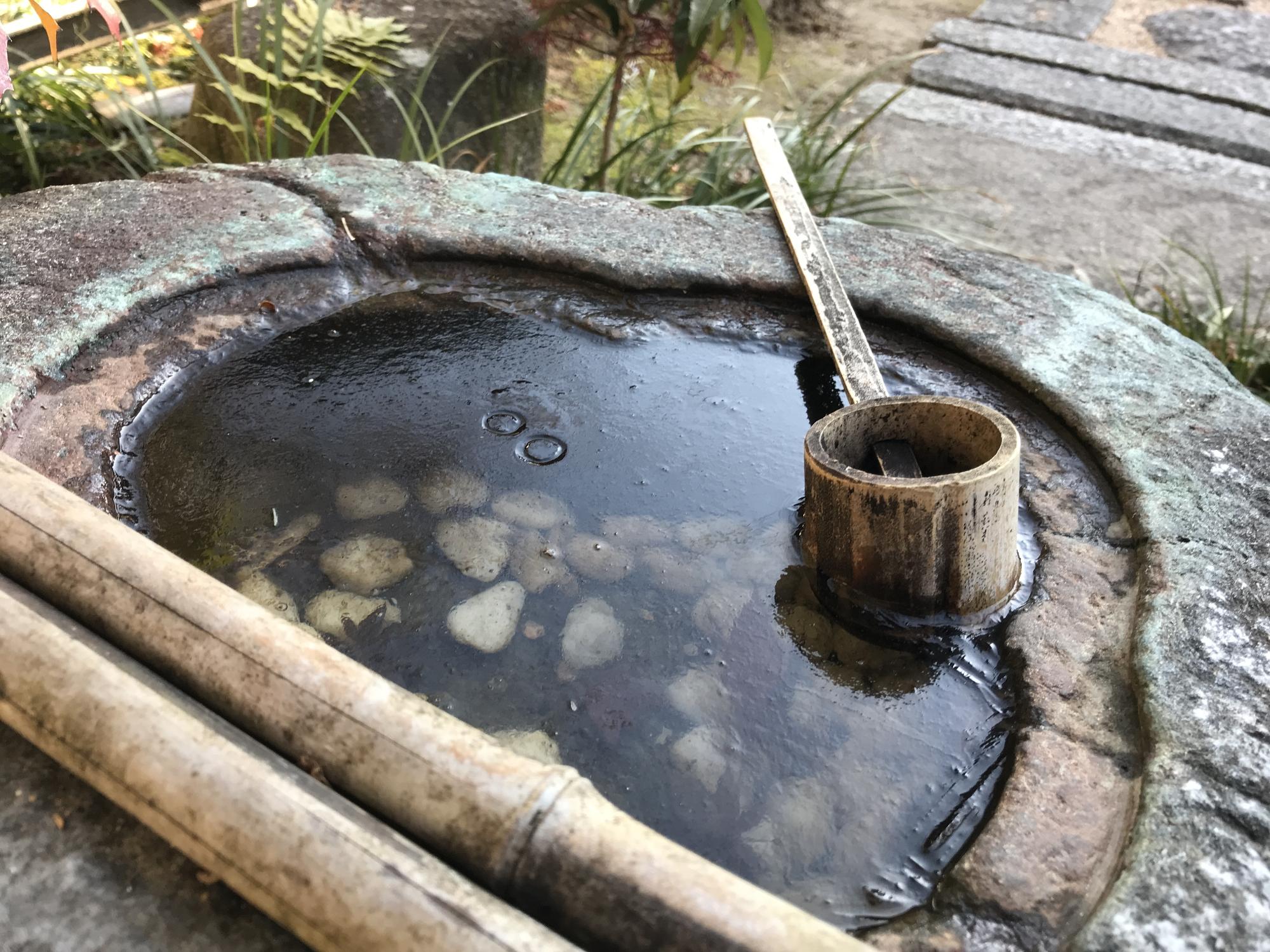 凍った手水鉢の写真
