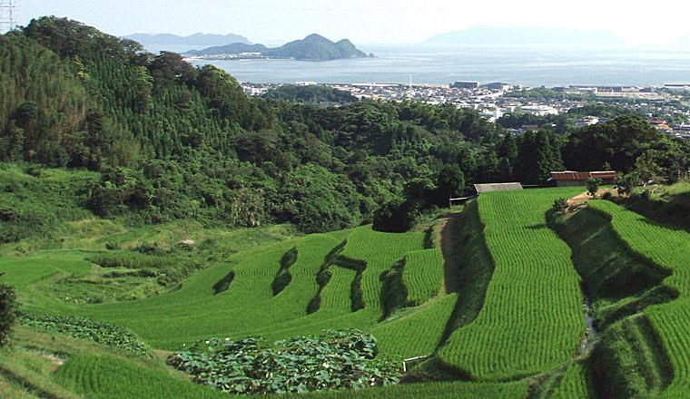 経済に関する質問／光市