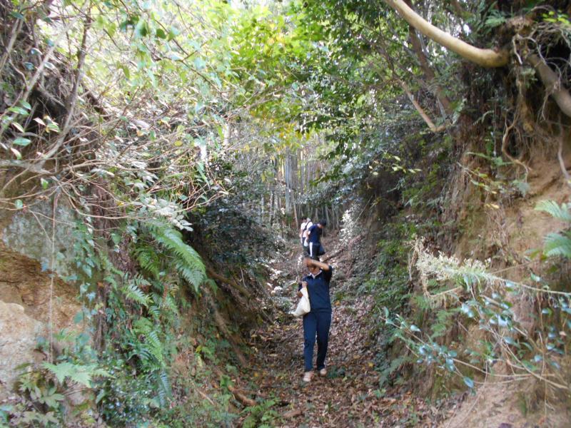 木や草が生い茂っている山道を下っている参加者の写真