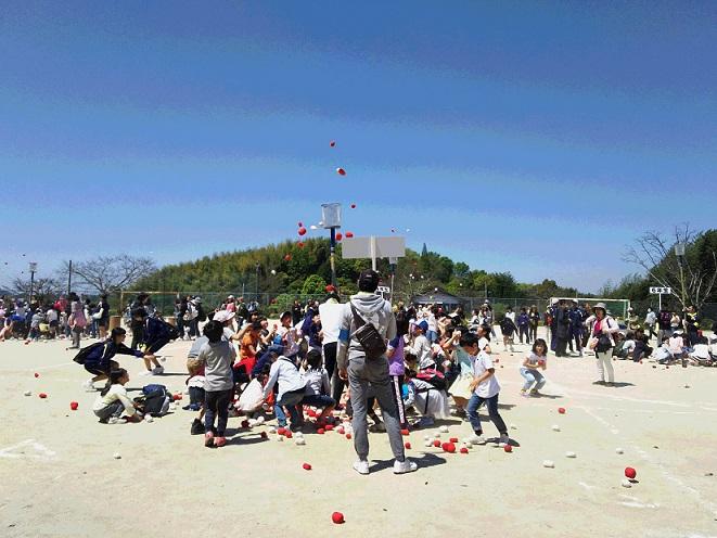 晴天の中、グラウンドで小学生たちが一生懸命に玉入れをしている写真