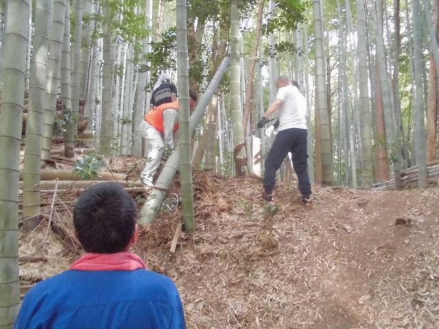 竹藪の中で、マークの付いた孟宗竹をオレンジ色のベストを着た男性が伐採した竹を抱えており、黒いズボンの男性が近くにおり、手伝おうとしている写真
