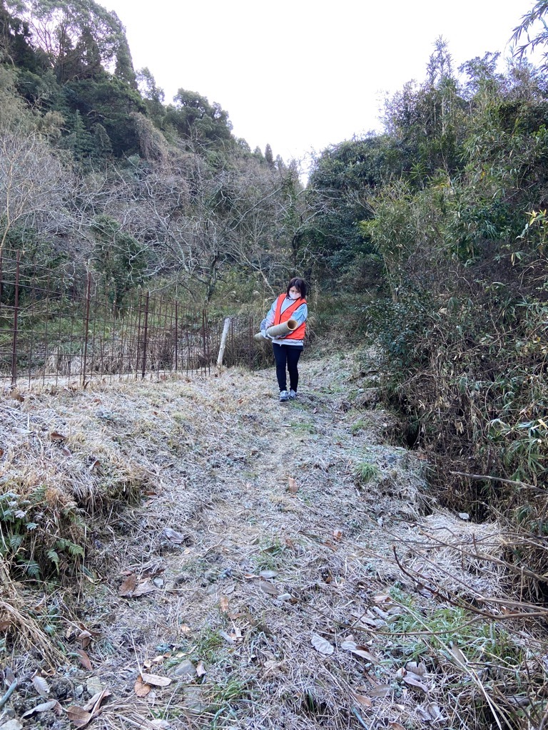 竹を運搬する様子2