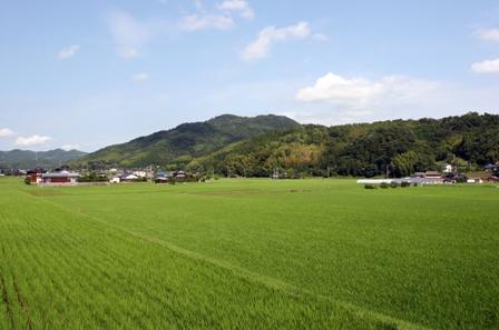 青空の下に奥に山々があり手前に田んぼが映った写真