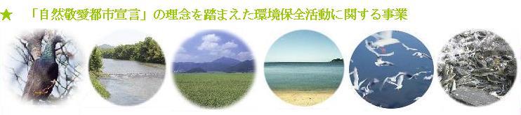 左から鳥を背後から撮った写真、木が立ち並ぶ川の写真、草原の奥に大きな山があり青空が広がる写真、綺麗な海と砂浜の写真、かもめが飛んでいる写真、魚のモノクロ写真