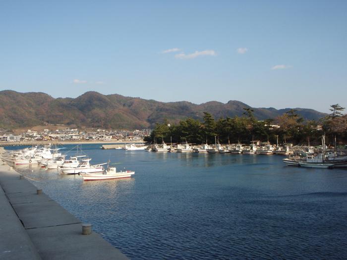 茶色く色づいた山を背景にたくさんの白い船が港に向かって垂直に停泊している写真