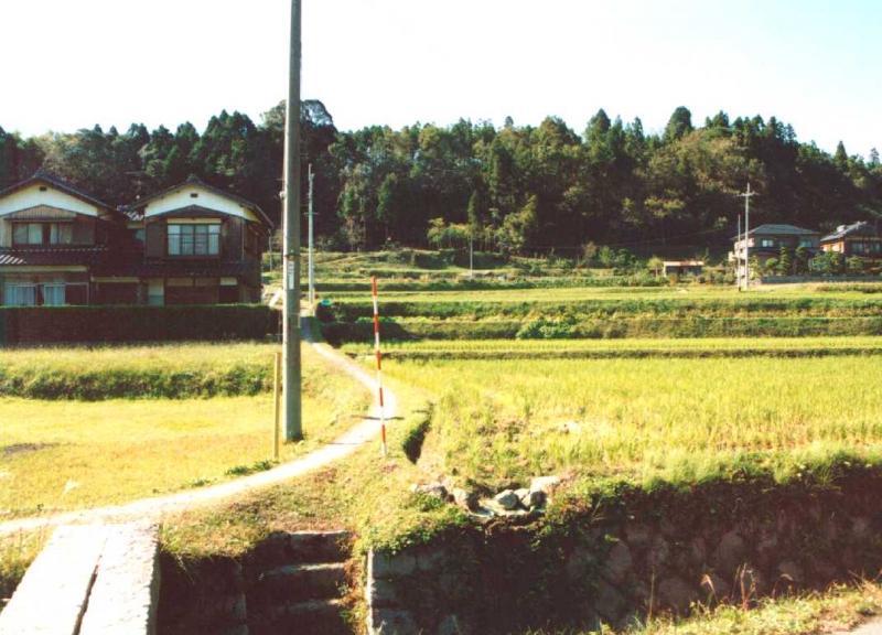 農道整備前