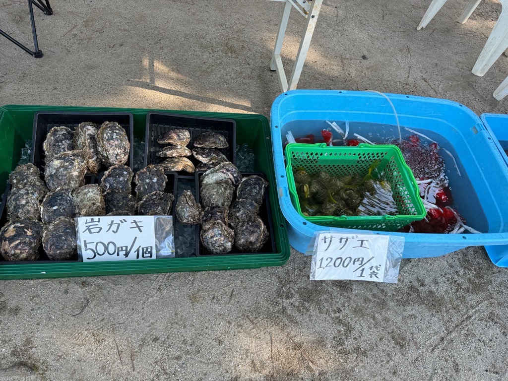 イワガキとサザエ