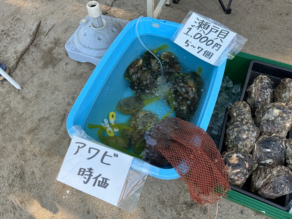 セトガイとアワビ