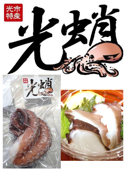 光蛸2