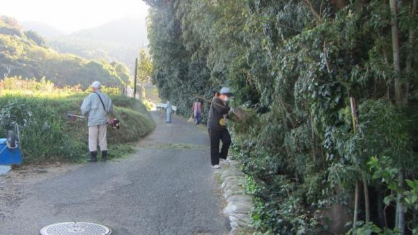 道路横の木を伐採する4人の男女の写真