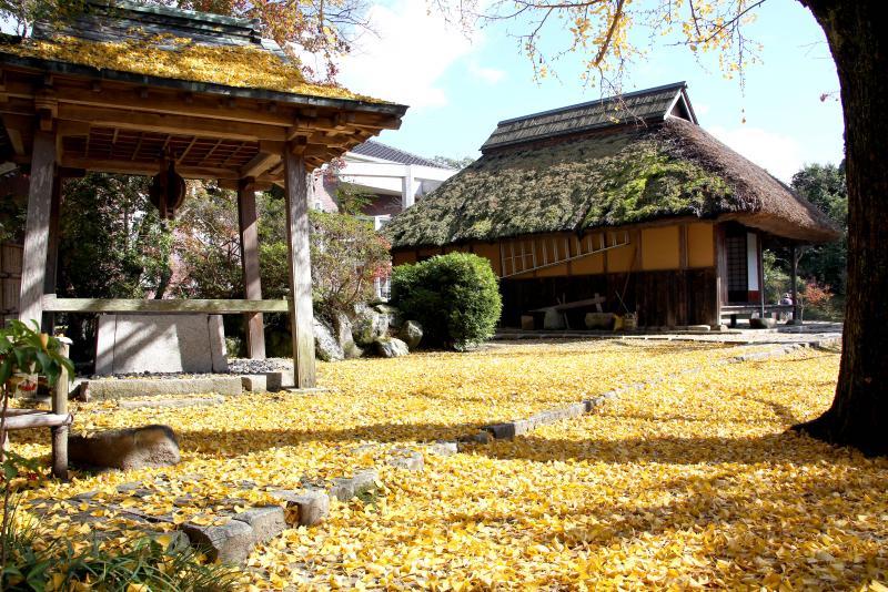 紅葉した葉が積もった地面の奥に古民家がある写真