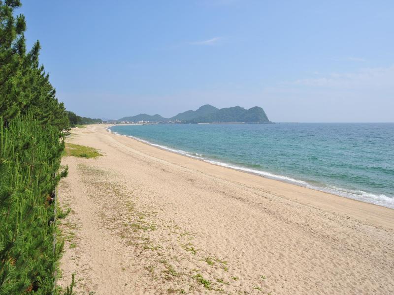 浜のすぐそばに松が生い茂る海岸の写真