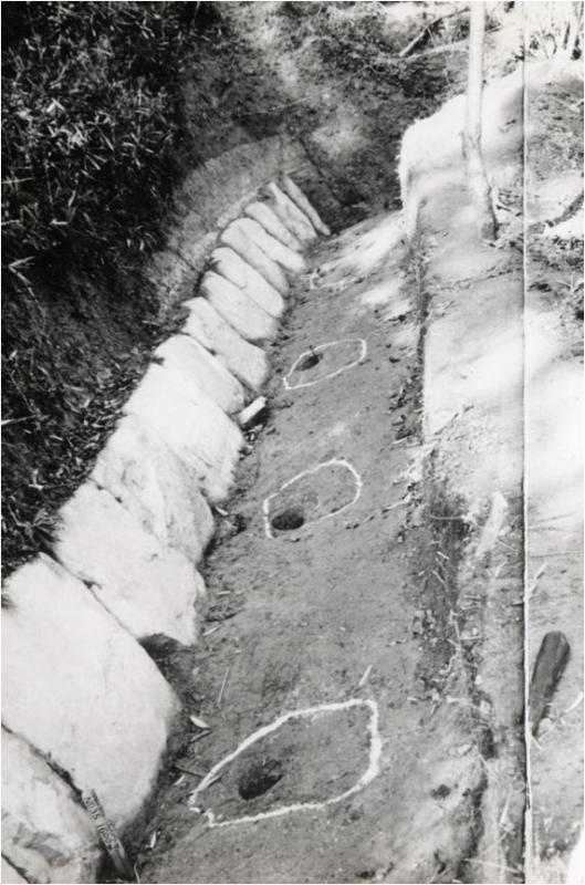 発掘調査で検出された列石外側の柱穴の写真