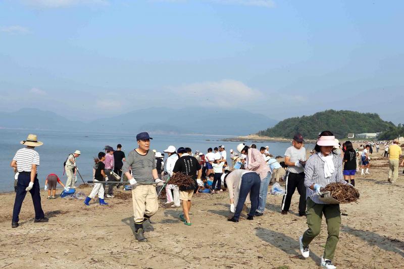海岸で清掃活動をする人々の写真