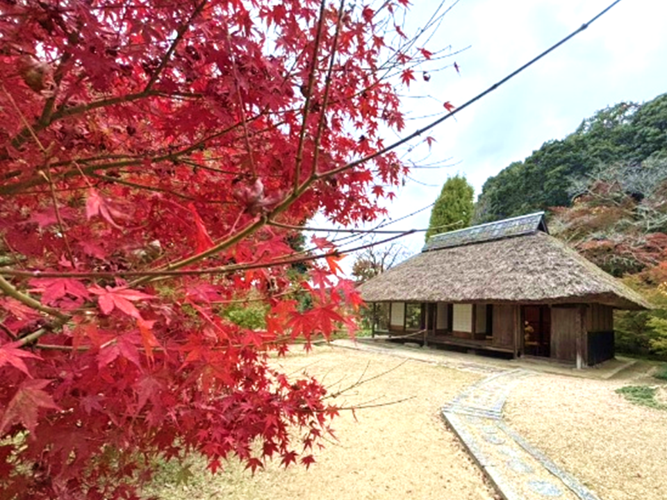 伊藤公資料館の紅葉状況
