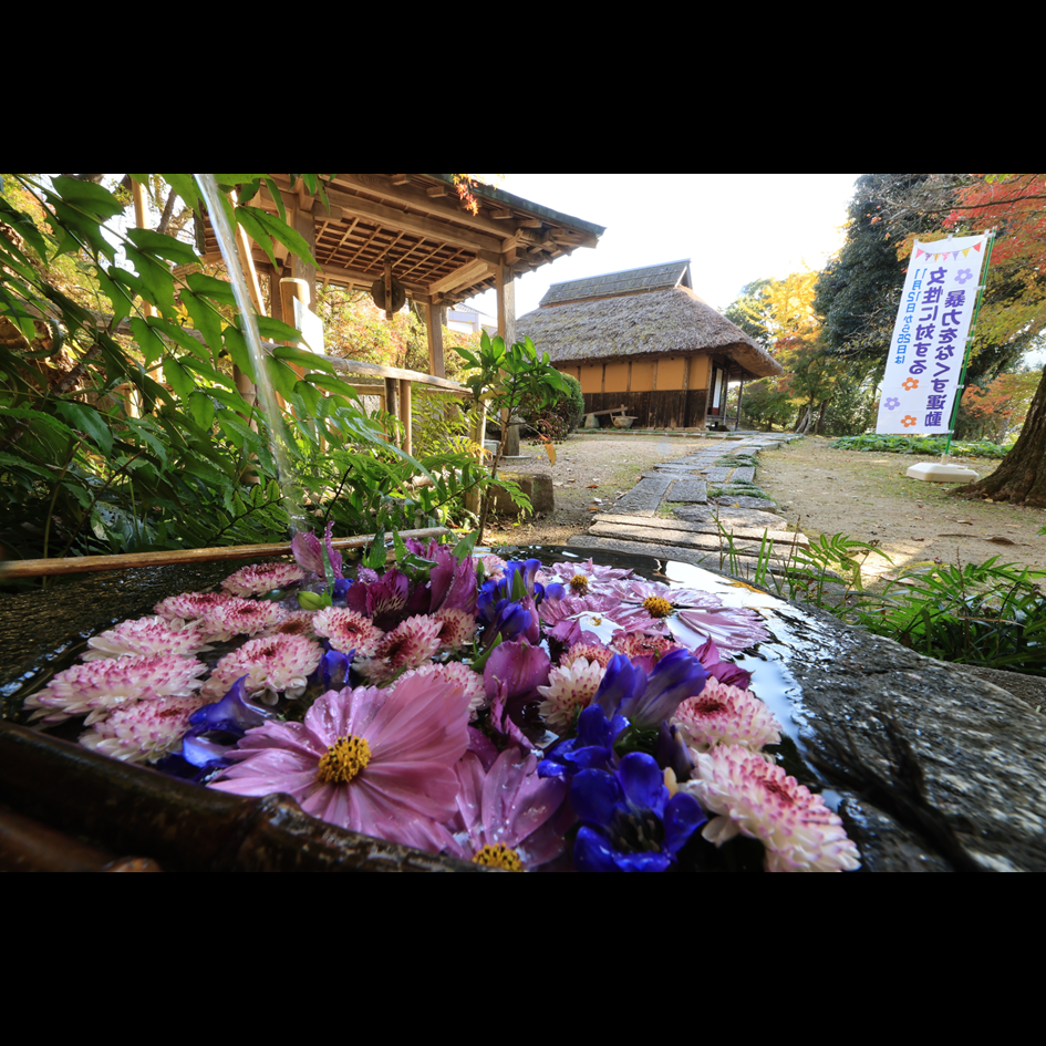 伊藤公資料館の花手水
