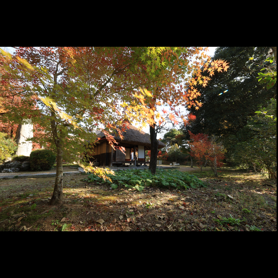 伊藤公記念公園の紅葉