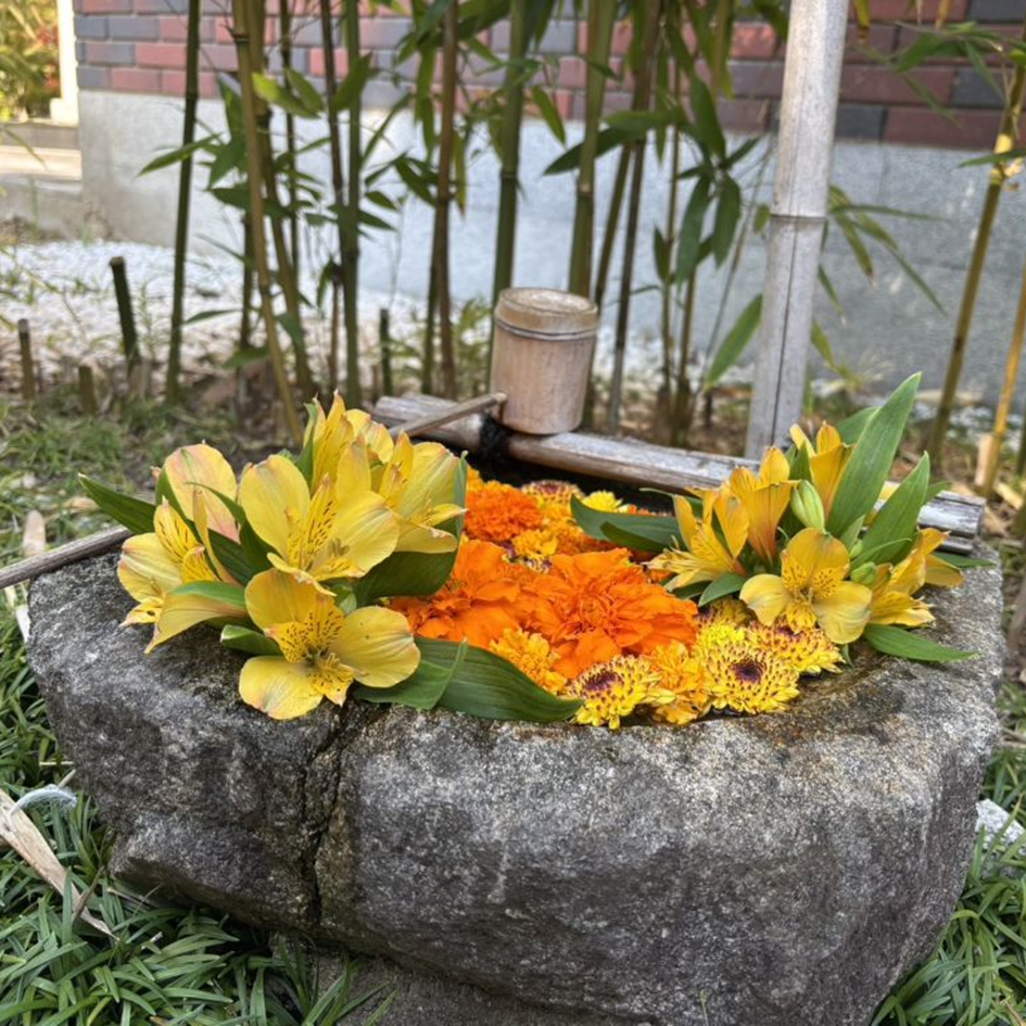 伊藤公記念公園の花手水