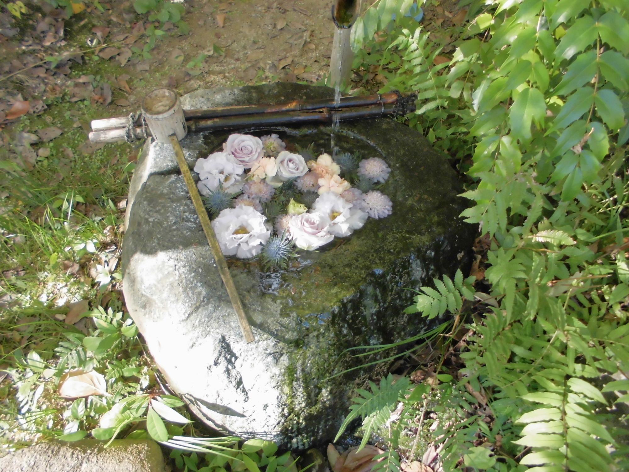 花手水（パープル）