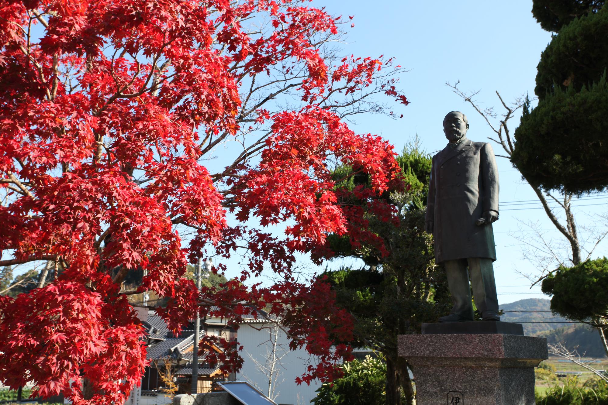 紅葉の写真