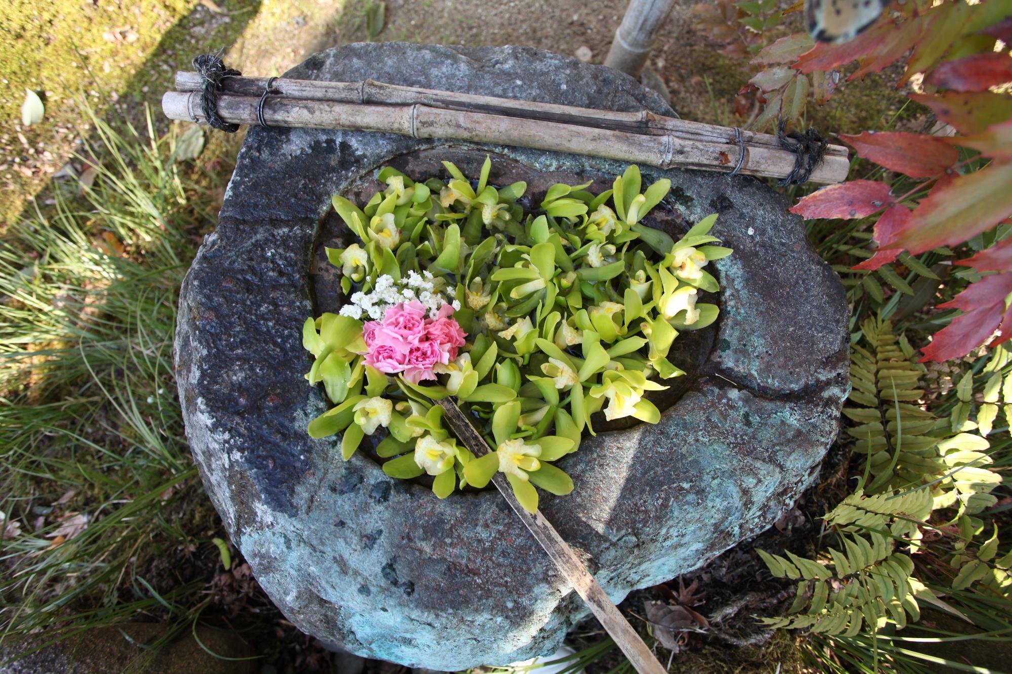 花手水の写真