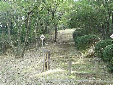 中央には木で作られた階段が続いていて、右手には丸く切られ手入れされた木が並んでいる写真