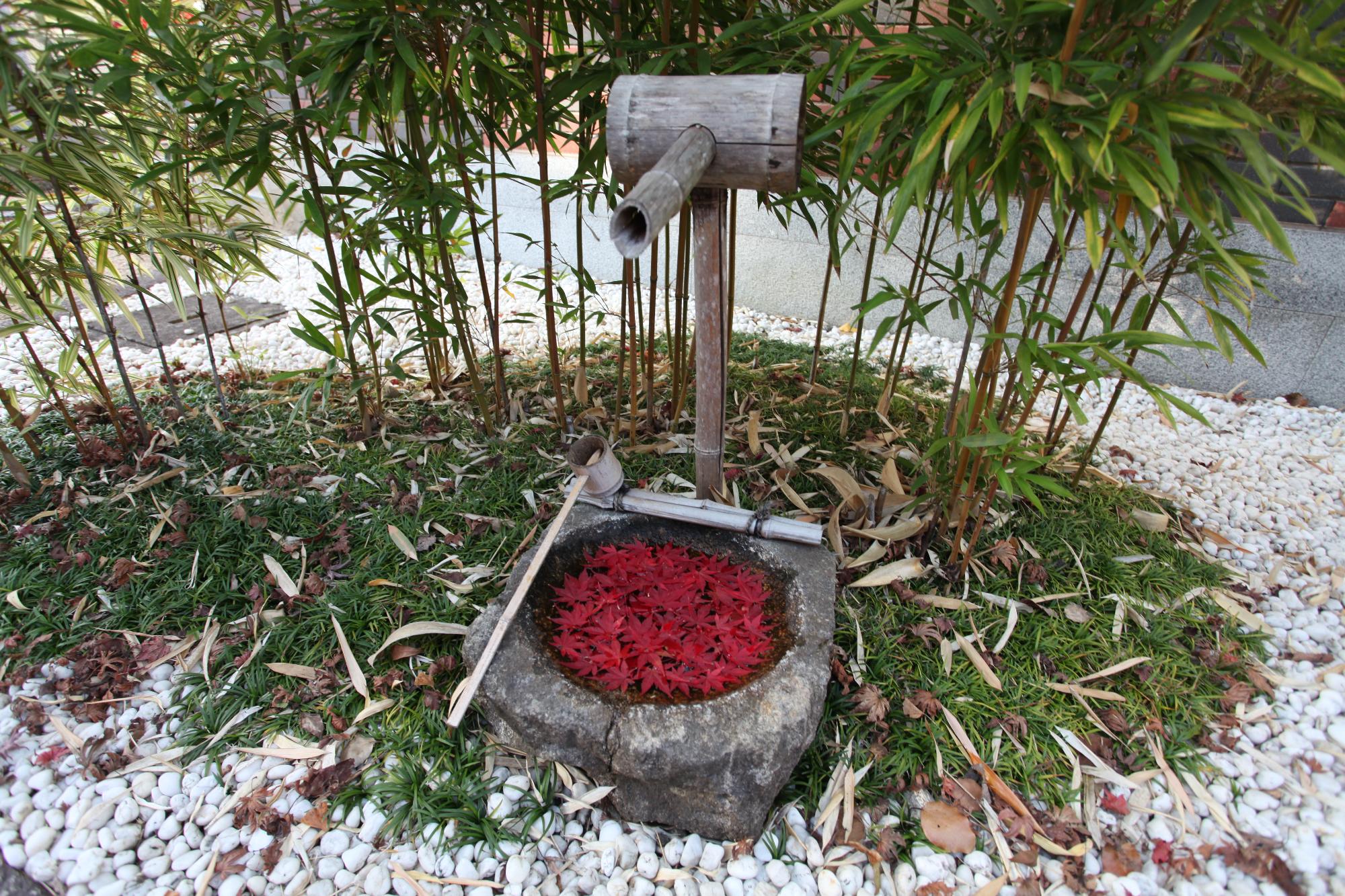 もみじの花手水の写真