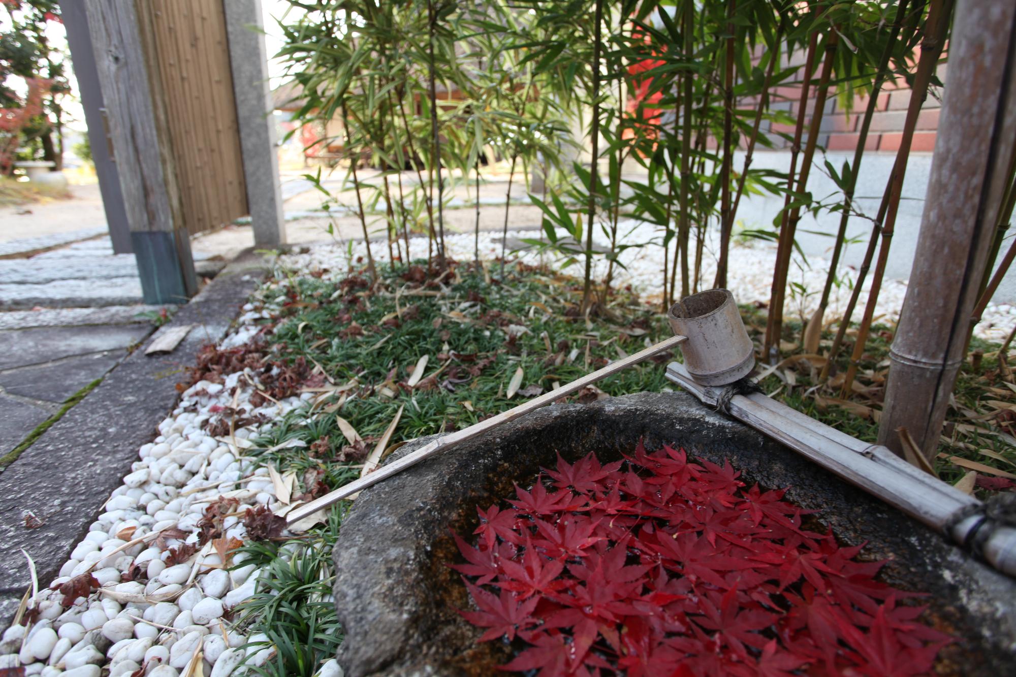 もみじの花手水の写真