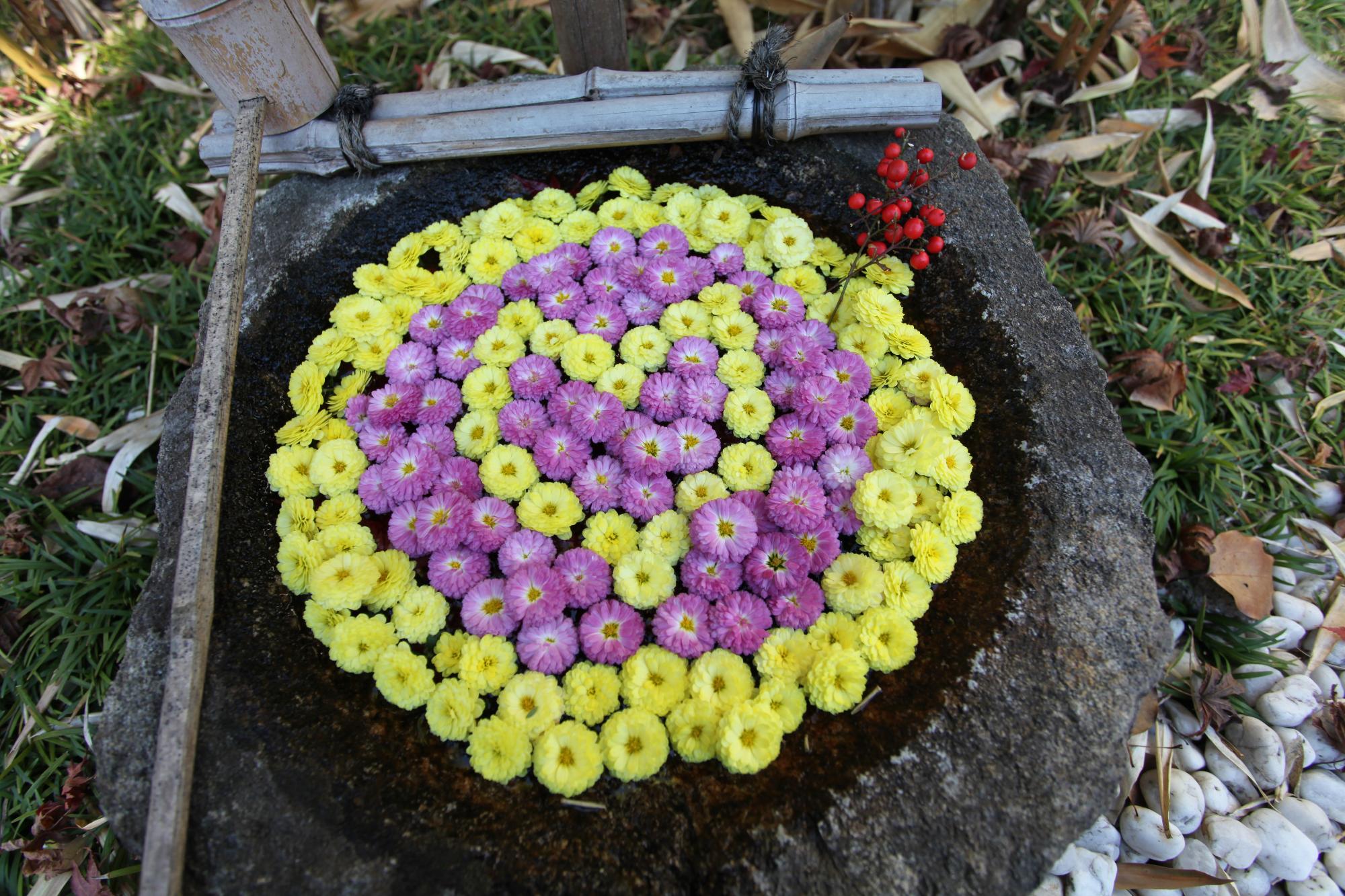 花手水の写真