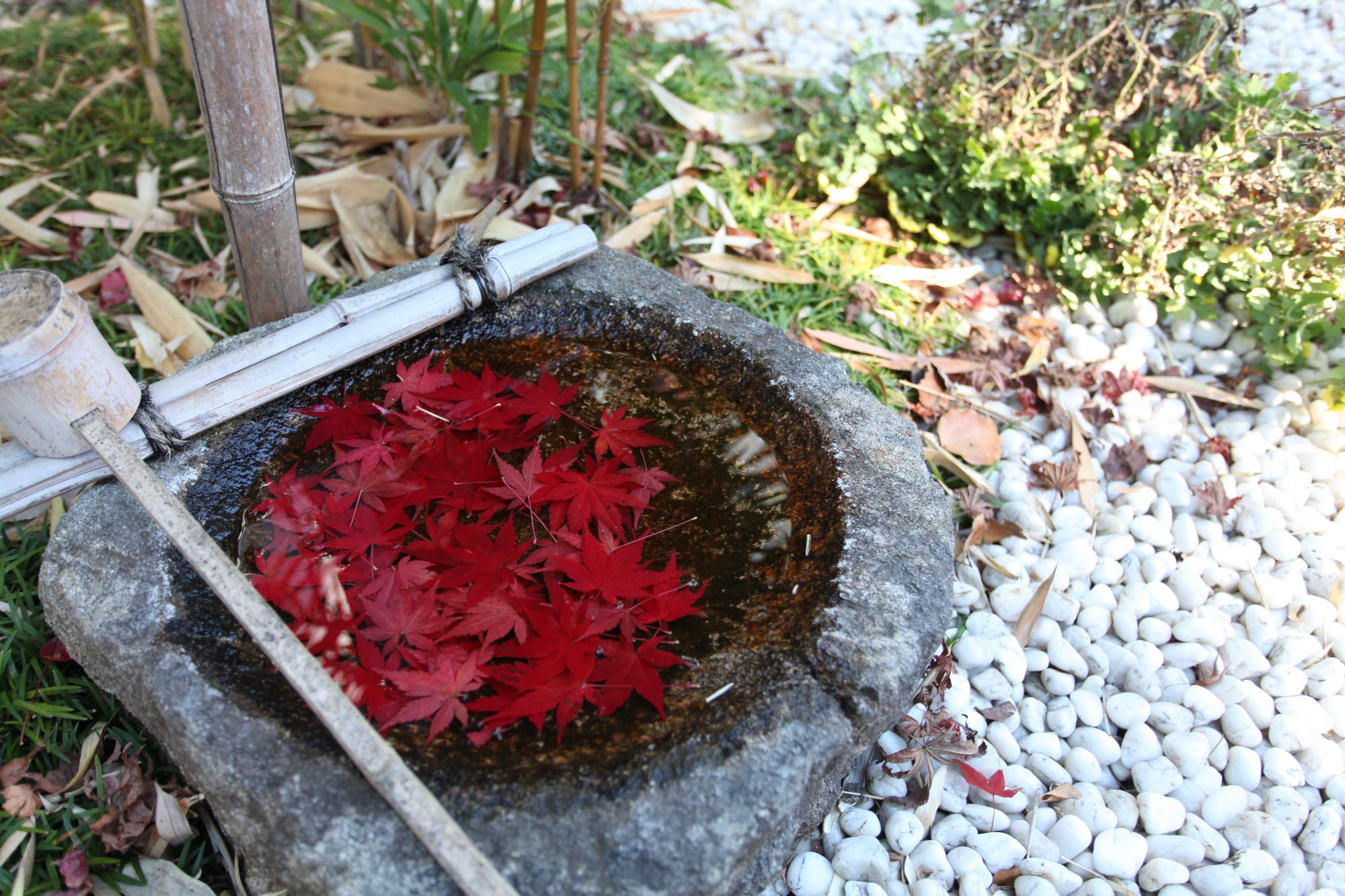 もみじの花手水の写真