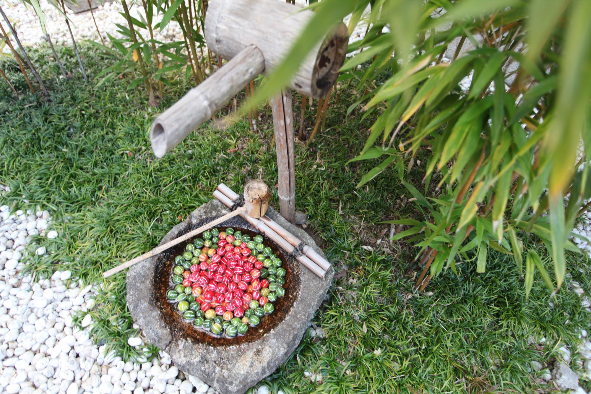 スズメウリの花手水の写真