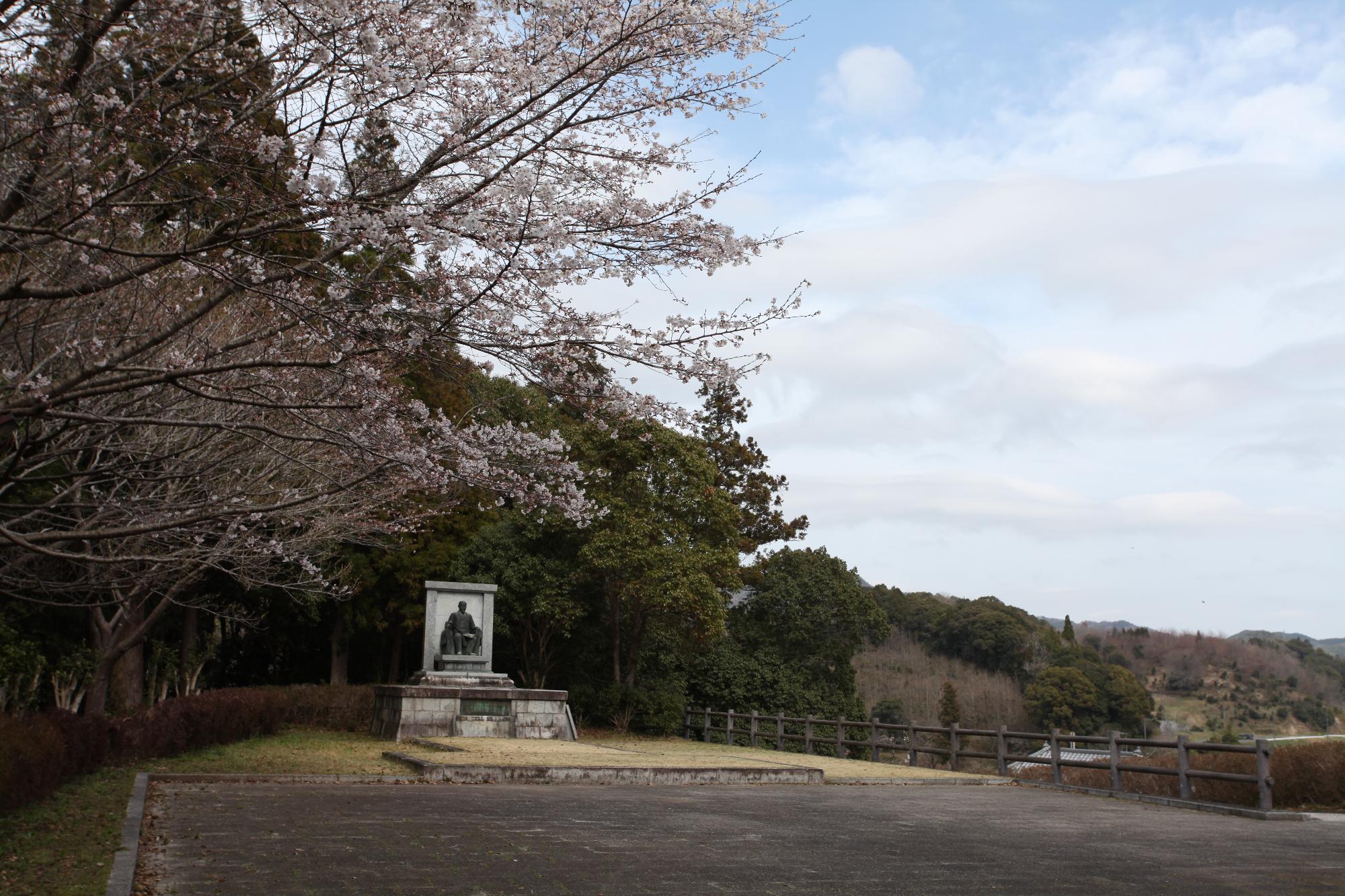 伊藤広場の桜の写真