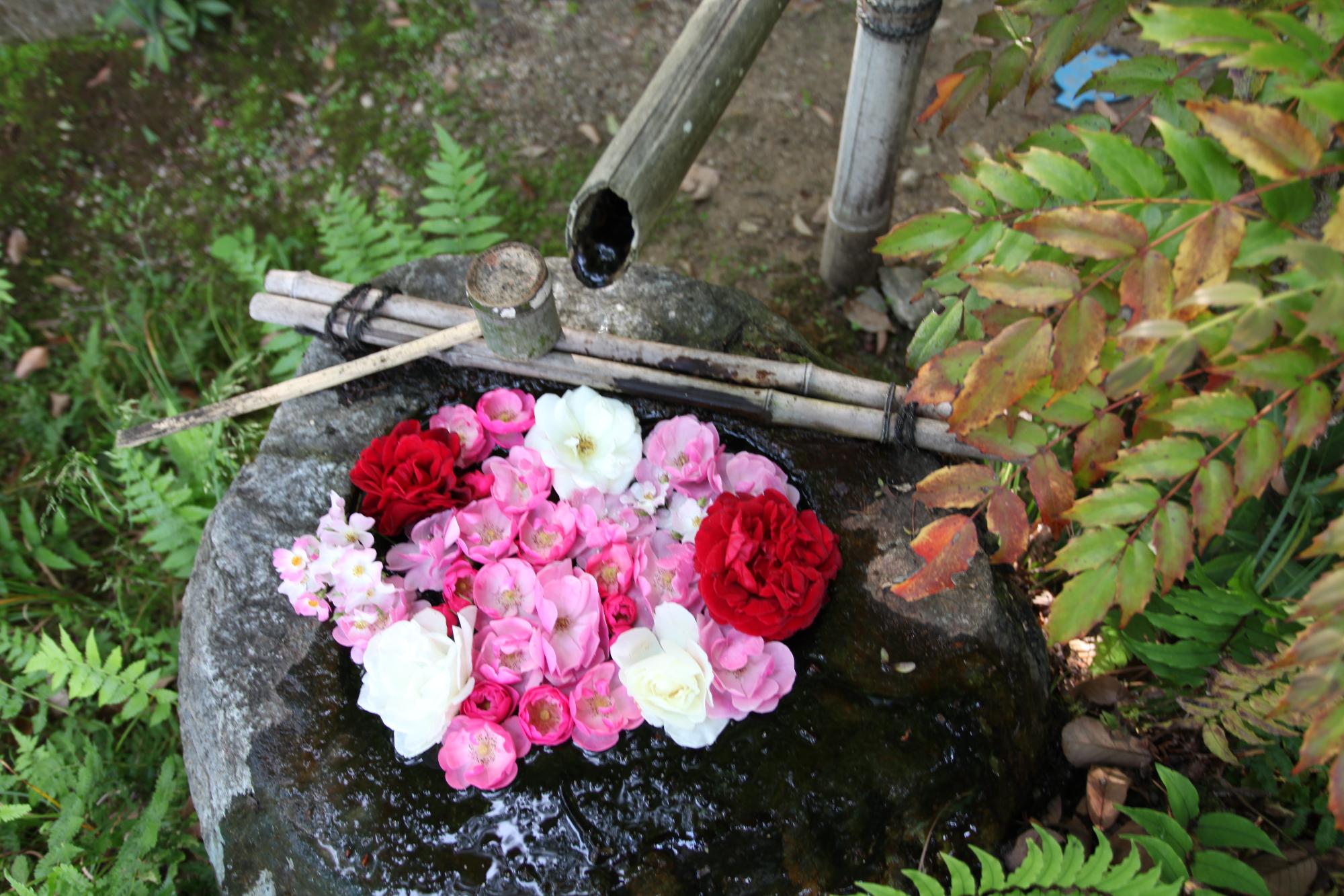 花手水の写真