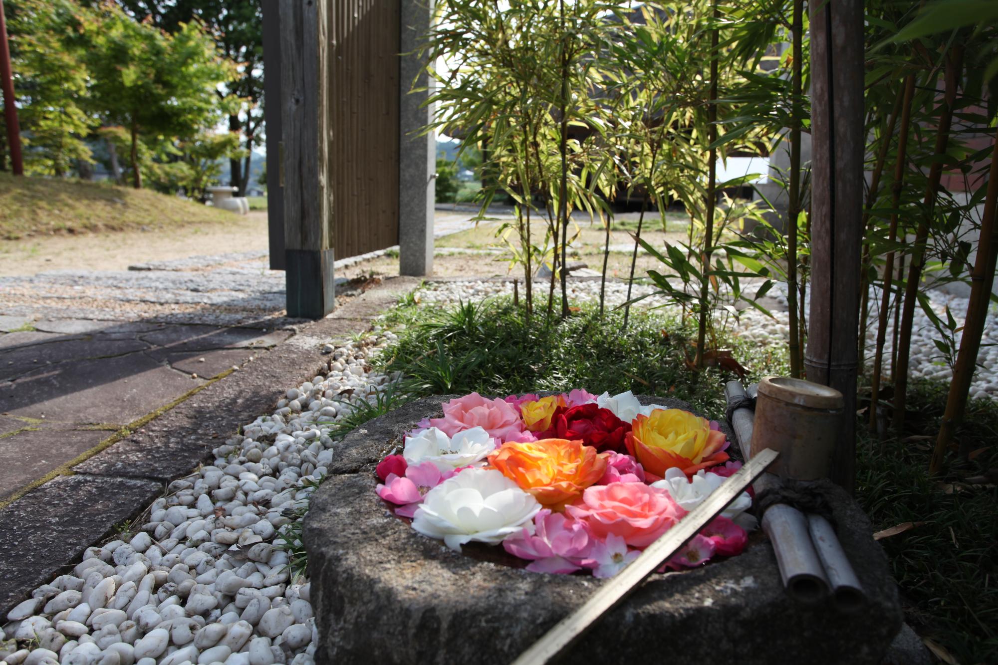 花手水の写真