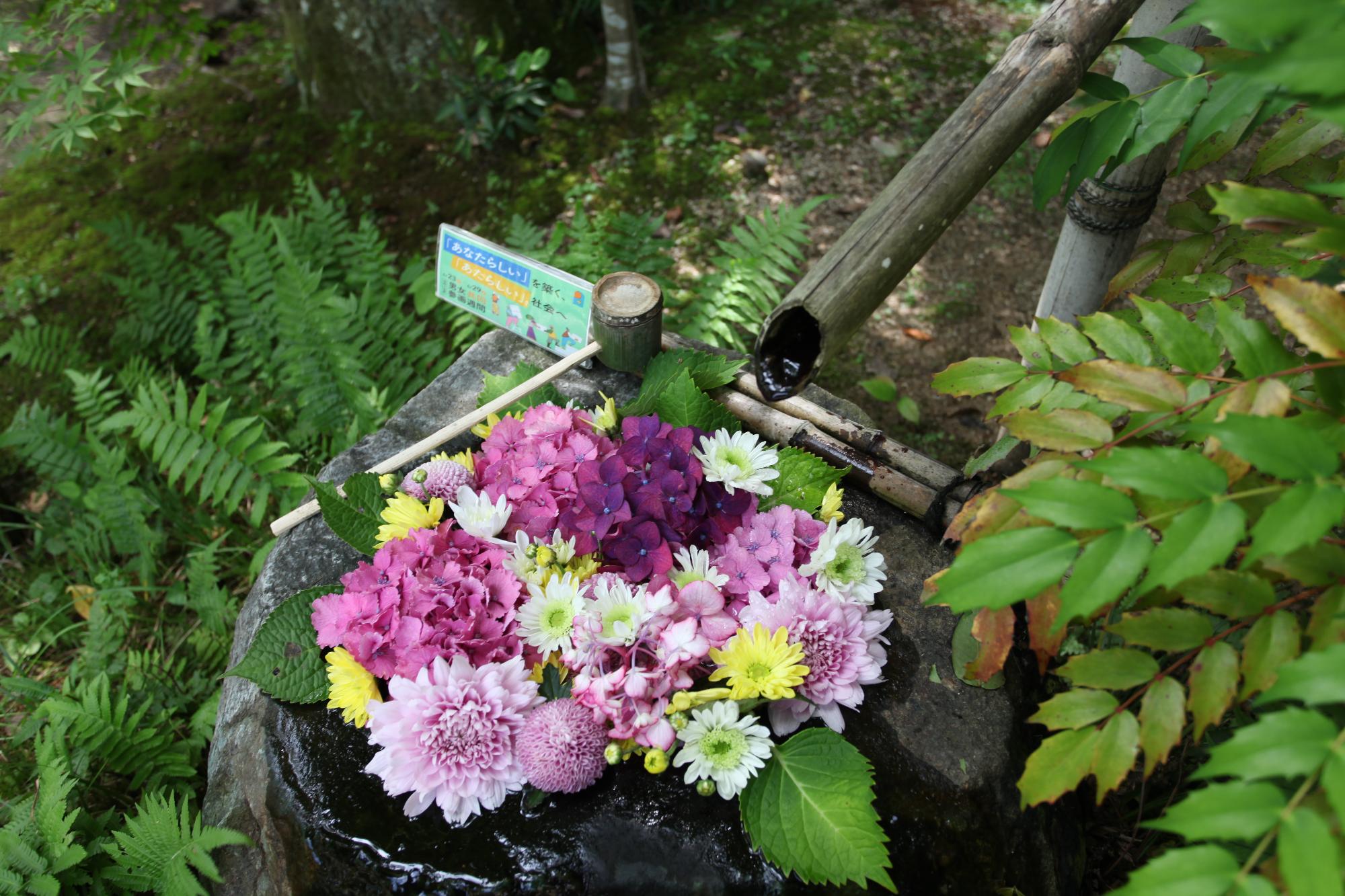 花手水の写真