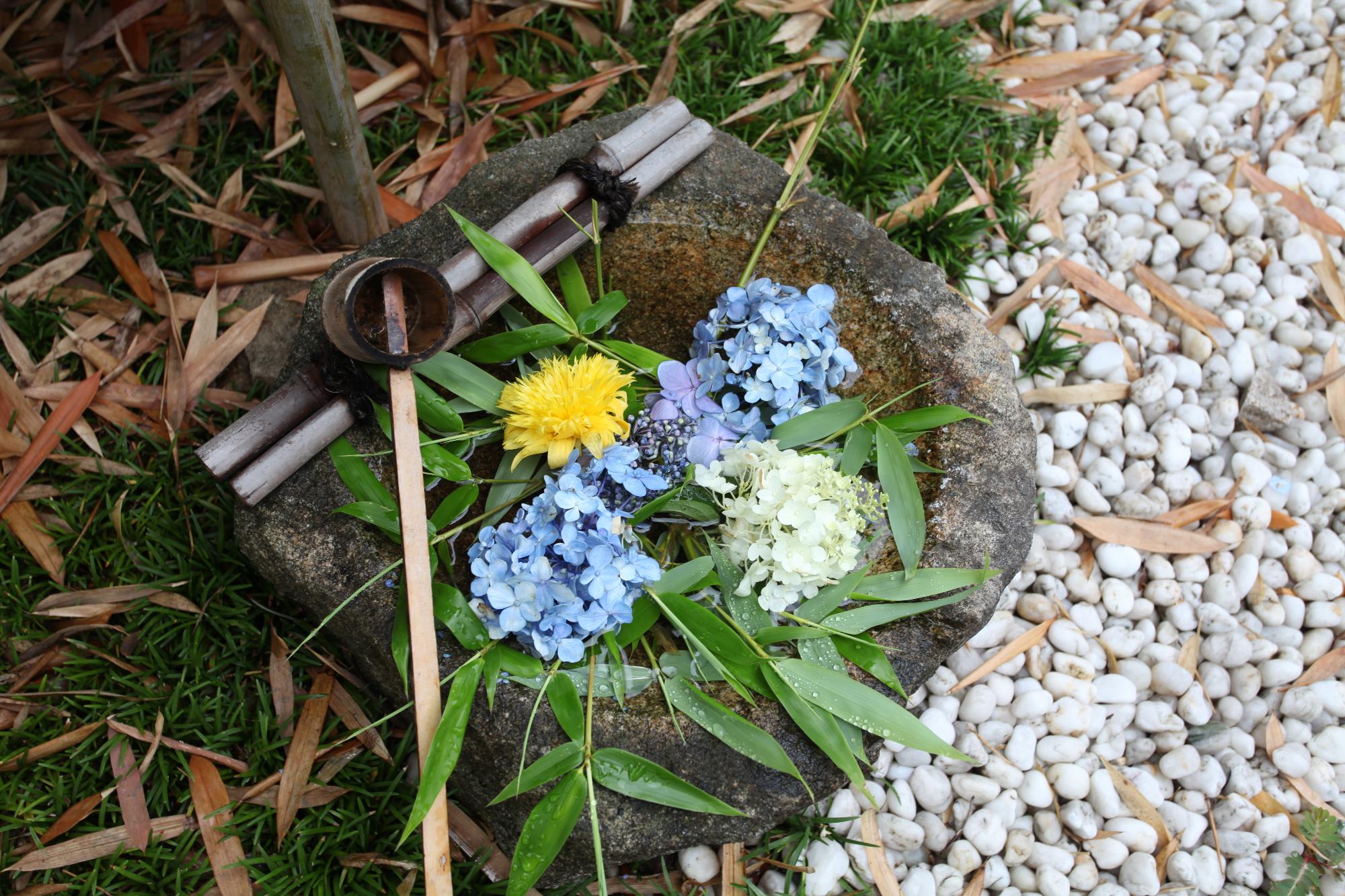 花手水の写真