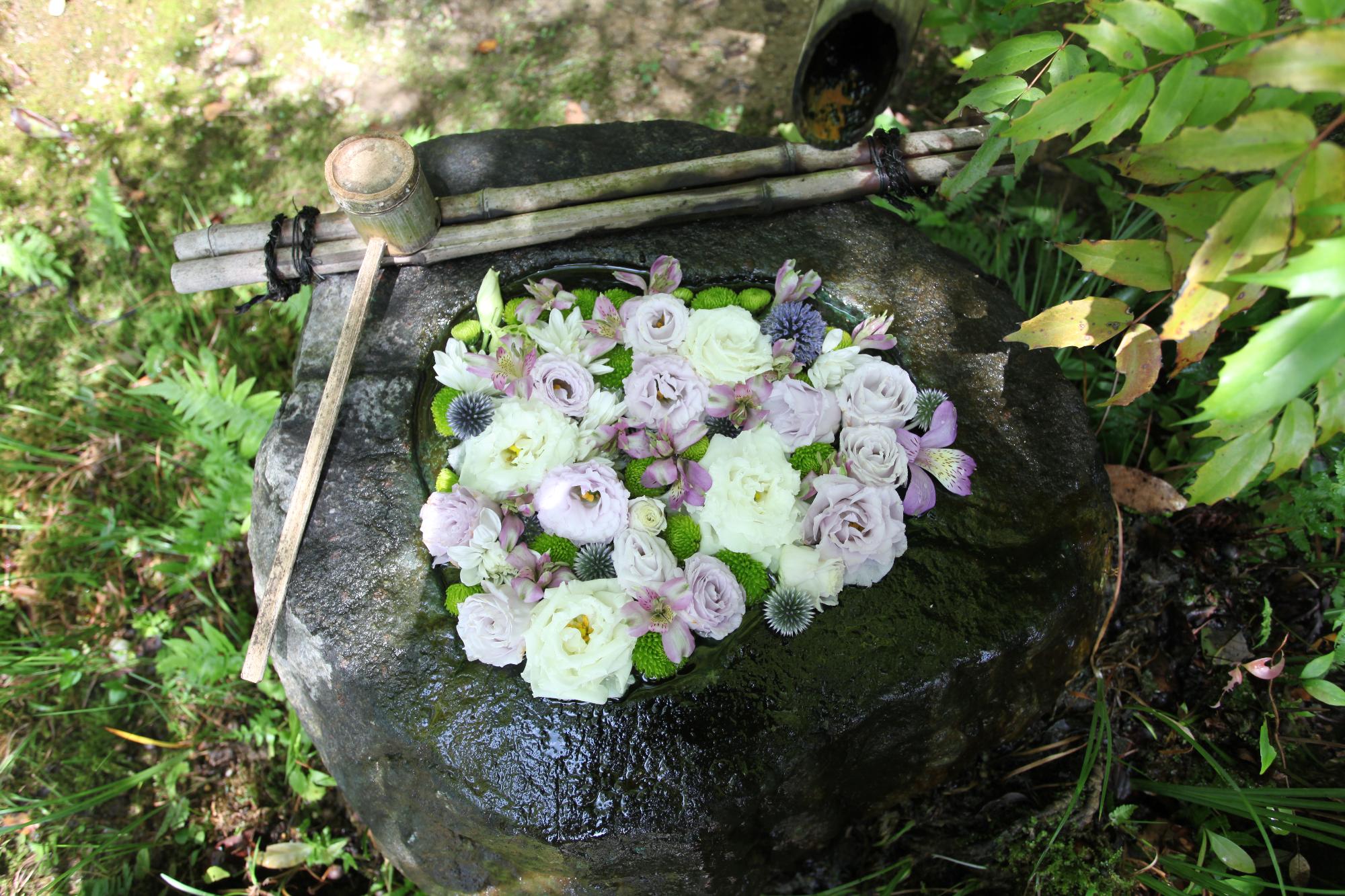 花手水の写真