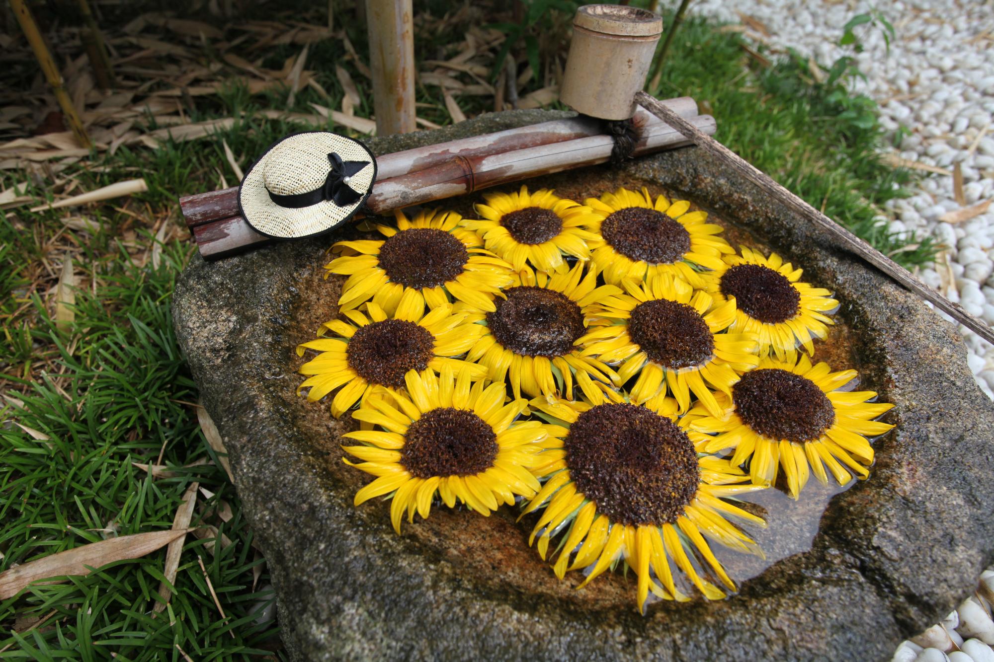 ひまわりの花手水