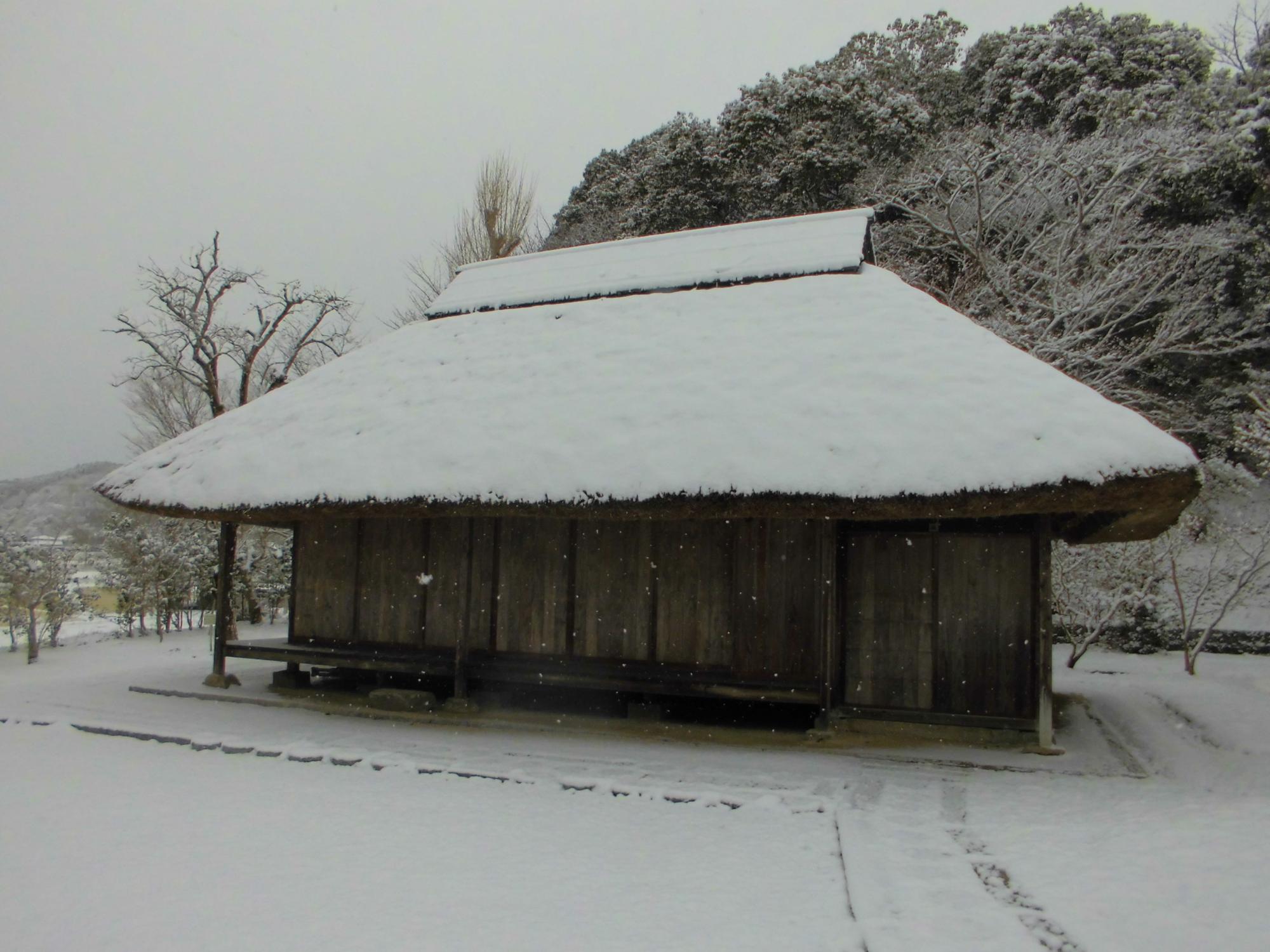 雪が積もった生家の写真